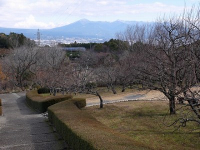 岩本山公園の写真10