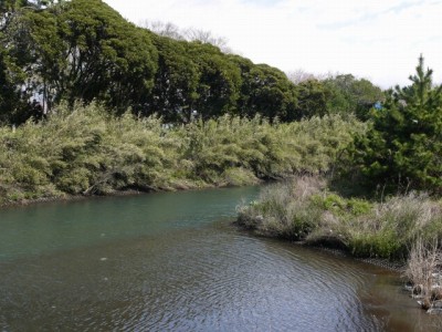 入道樋門公園の写真5