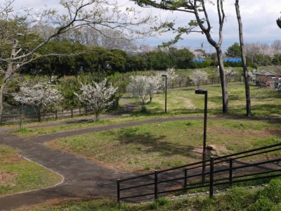 入道樋門公園の写真10