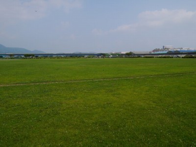 富士川緑地公園の写真8