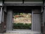 広見公園の写真のサムネイル写真5