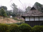 広見公園の写真のサムネイル写真9