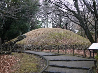 広見公園の写真11