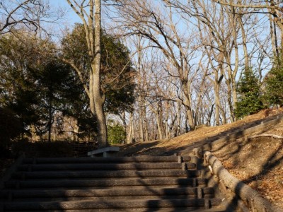 広見公園の写真14