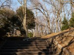 広見公園の写真のサムネイル写真13