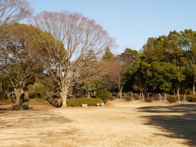 広見公園の写真21