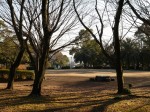 広見公園の写真のサムネイル写真22