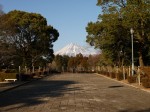 広見公園の写真のサムネイル写真29