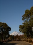 広見公園の写真のサムネイル写真30