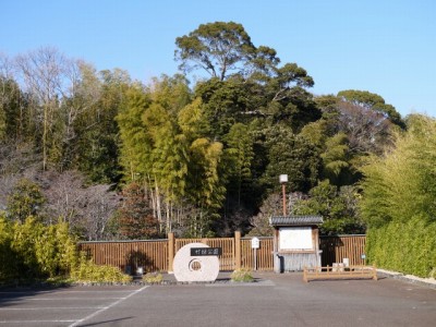 竹採公園の写真