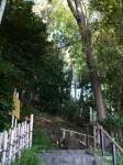 竹採公園の写真のサムネイル写真4