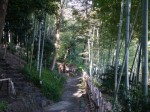 竹採公園の写真のサムネイル写真6