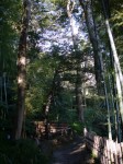 竹採公園の写真のサムネイル写真7