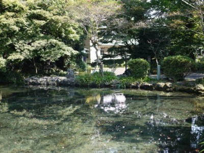 浅間大社 湧玉池の写真