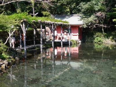 浅間大社 湧玉池の写真3