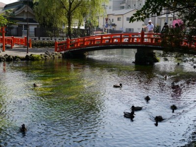 浅間大社 湧玉池の写真7