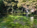 浅間大社 湧玉池の写真のサムネイル写真10