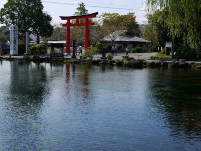 浅間大社 湧玉池の写真14