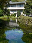 浅間大社 湧玉池の写真のサムネイル写真14