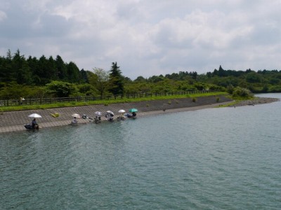 田貫湖の写真