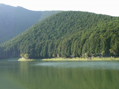田貫湖の写真26