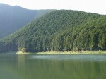 田貫湖の写真のサムネイル写真25