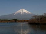 田貫湖の写真のサムネイル写真36