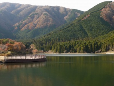 田貫湖の写真49