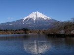 田貫湖の写真のサムネイル写真52