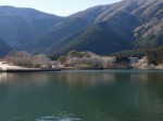 田貫湖の写真のサムネイル写真56