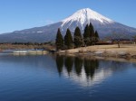 田貫湖の写真のサムネイル写真62