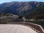 田貫湖の写真のサムネイル写真64