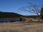 田貫湖の写真のサムネイル写真67