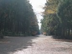 西山本門寺の写真のサムネイル写真19