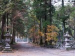 西山本門寺の写真のサムネイル写真22