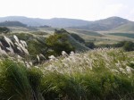 細野高原の写真のサムネイル写真15