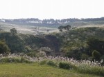細野高原の写真のサムネイル写真23