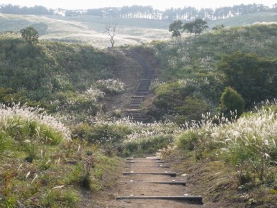 細野高原の写真25