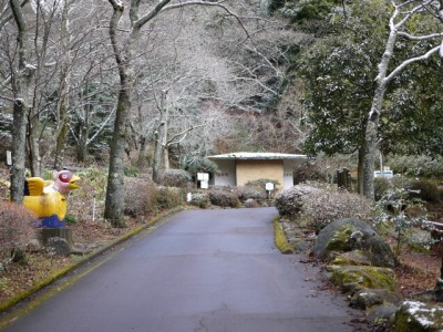 姫の沢公園の写真3