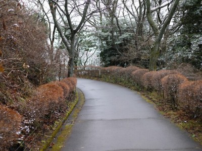 姫の沢公園の写真7