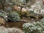 姫の沢公園の写真のサムネイル写真12