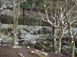 姫の沢公園の写真のサムネイル写真14