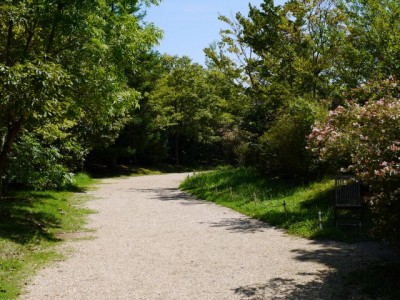 河津バガテル公園の写真8