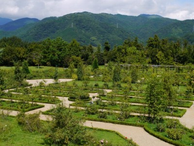 河津バガテル公園の写真21