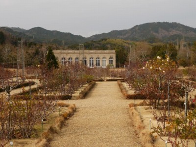 河津バガテル公園の写真29