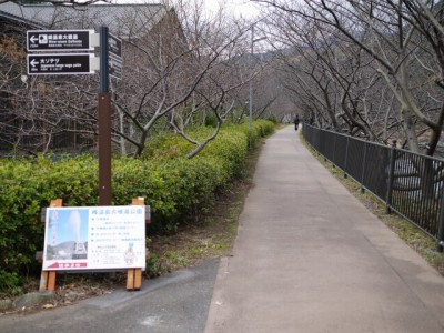 河津川遊歩道の写真4