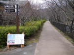 河津川遊歩道の写真のサムネイル写真3
