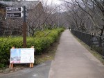 河津川遊歩道の写真のサムネイル写真3