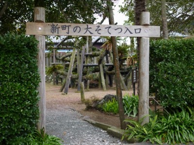 河津川遊歩道の写真5