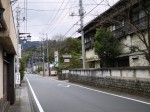 河津川遊歩道の写真のサムネイル写真7